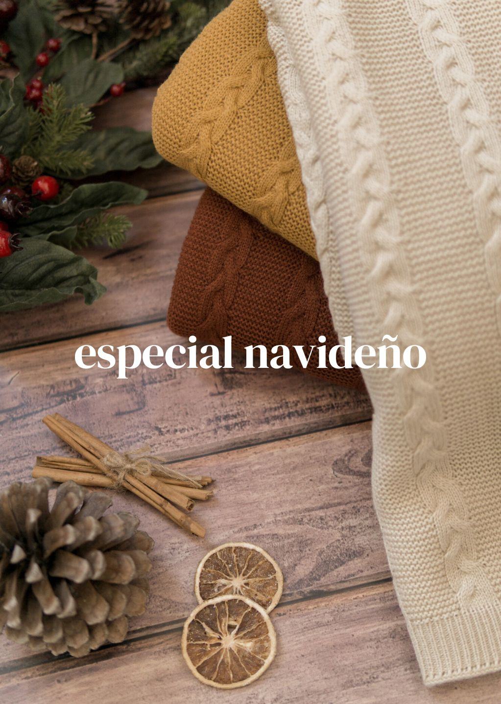 ESPECIAL NAVIDEÑO