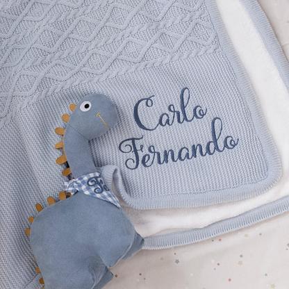 Kit Cobija Trenza Polar + Peluche Dario + Envio Gratis