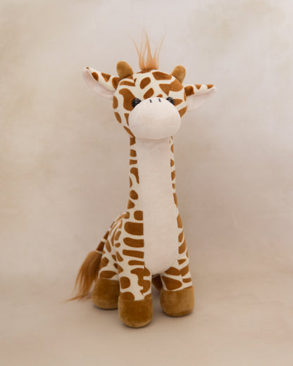 Amiguitos de la Selva Personalizado con Listón