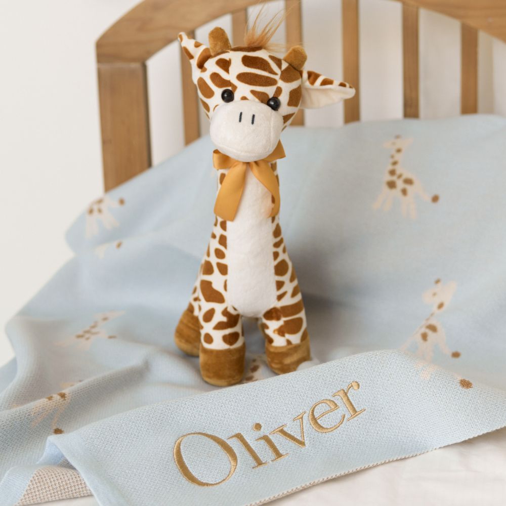 Set de Regalo Cobijita de Animalitos + Peluche Personalizado Varios Modelos