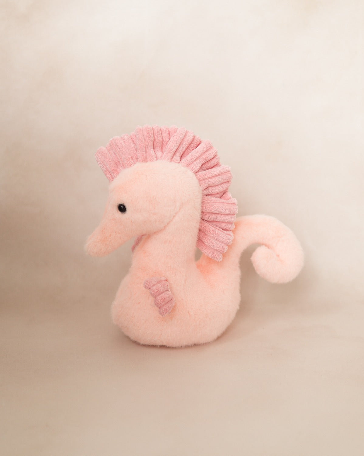 Amiguitos del Mar Personalizados con Listón 🐋🐬🐢