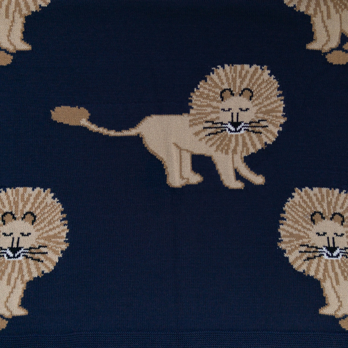 Cobijita Personalizada Leones Sage y Marino