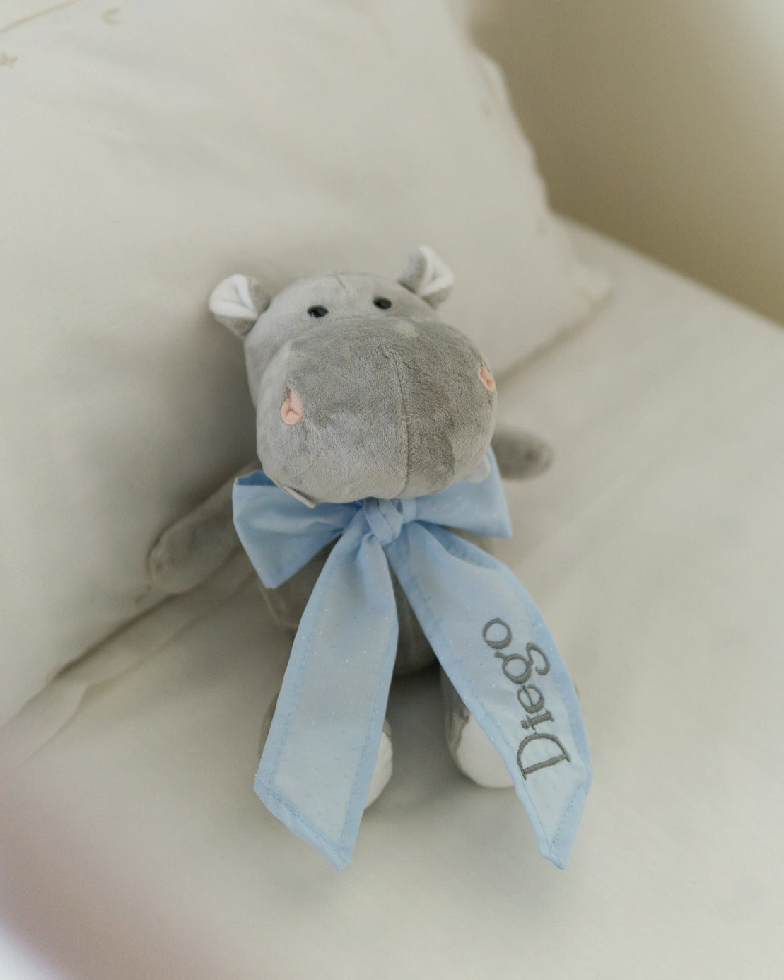 Amiguitos de la Selva Personalizado con Listón