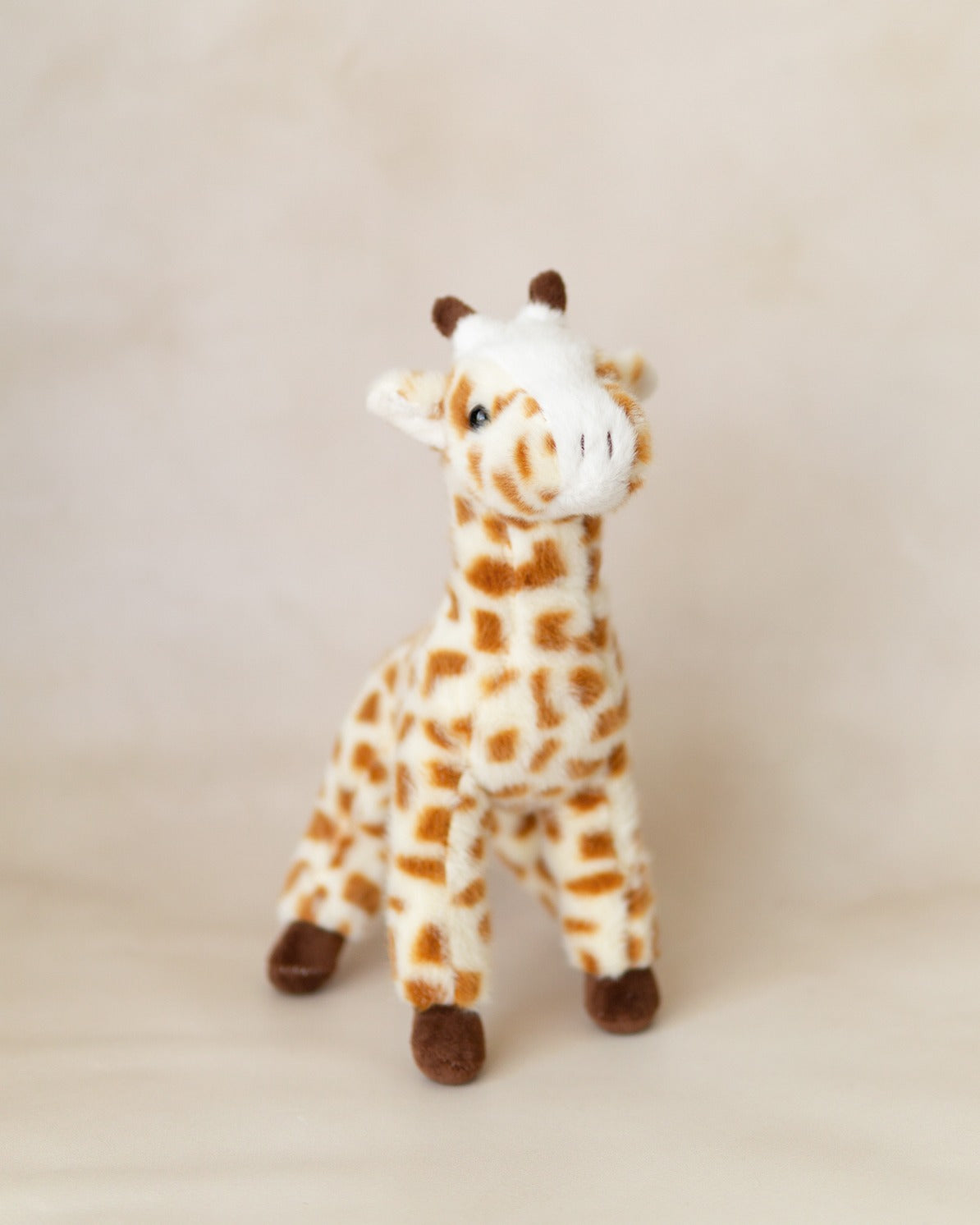 Amiguitos de la Selva Personalizado con Listón
