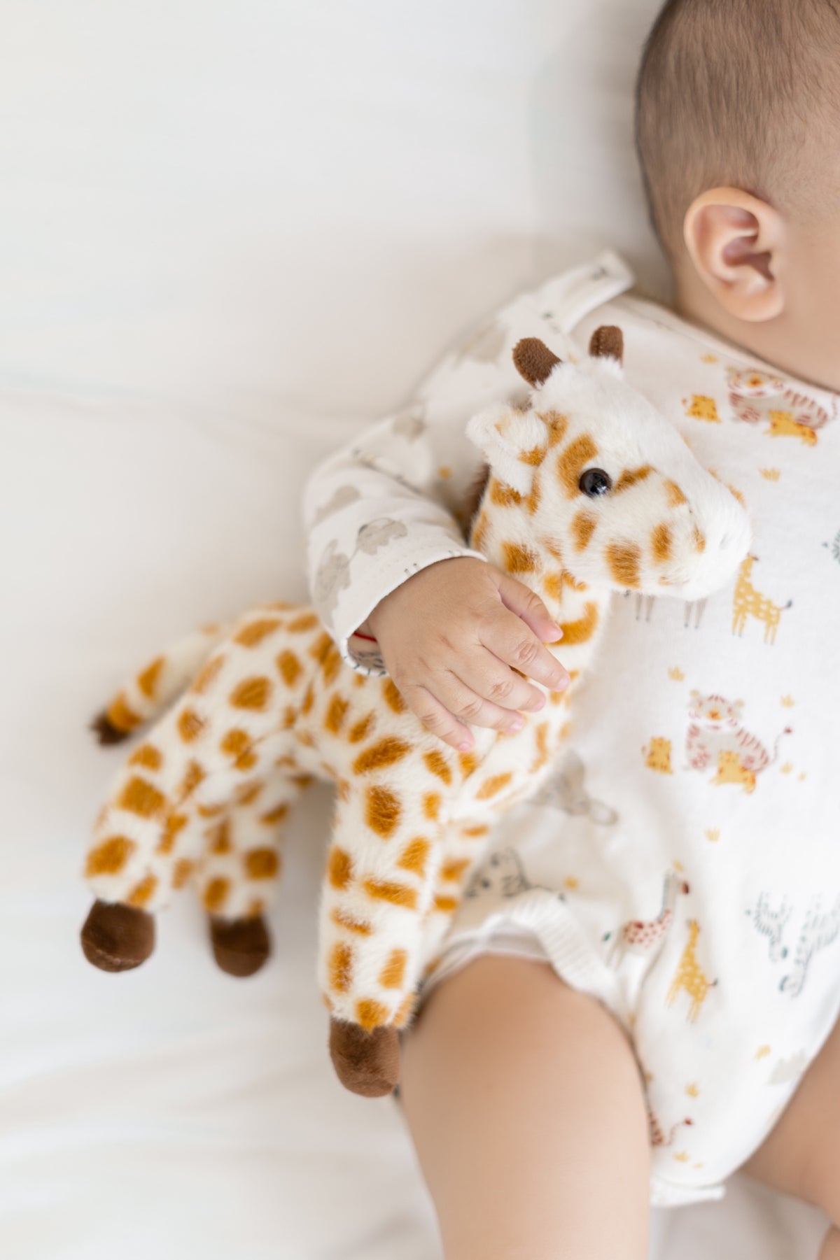 Set de Regalo Cobijita de Animalitos + Peluche Personalizado Varios Modelos